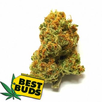  San Fernando Valley SFV OG